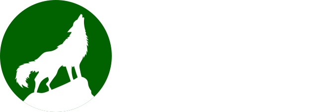 Dorakami Coaching: Führungskräfte-Coaching, Business-Coaching und Einzel-Coaching